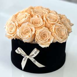 Peach roses arranged in a black round box with a ribbon bow