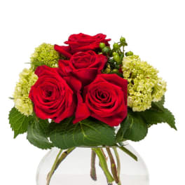 Red roses and pale green hydrangeas in a clear glass vase