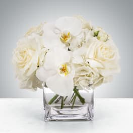 Compact white roses, orchids, and hydrangeas arranged in a clear glass cube vase