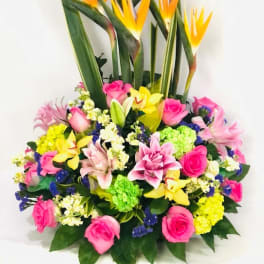 Tropical flower arrangement with pink roses and bird of paradise