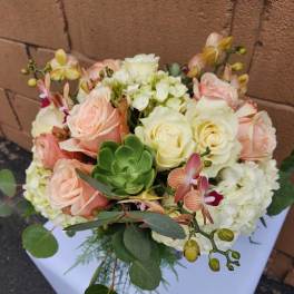 Low arrangement of peach and cream roses, white hydrangea, orchids and a green succulent in a compact design
