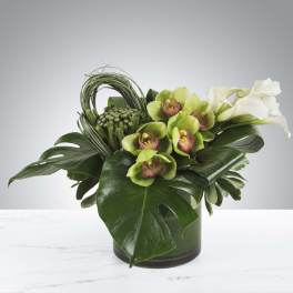Modern arrangement of green orchids and white calla lilies with large tropical leaves in a glass cylinder vase