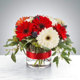 Low arrangement of red and white gerbera daisies in a clear glass vase with a red ribbon band