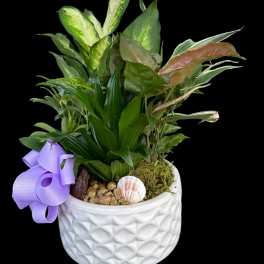 Potted green houseplant arrangement in a white textured planter with a purple ribbon