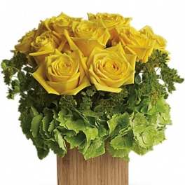 Yellow roses arranged in a square wooden vase with green hydrangea