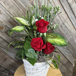 Red roses in a white basket with mixed green foliage