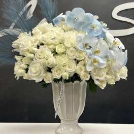 White roses and pale blue orchids in a white vase