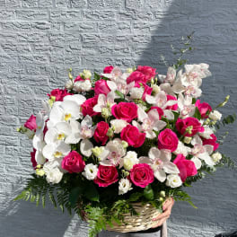Basket arrangement of pink roses and white orchids