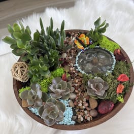 Round succulent dish garden with pebbles and a butterfly ornament