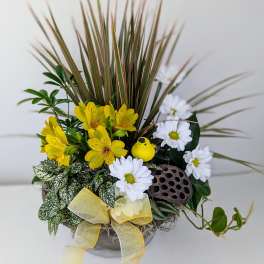 Yellow and white flowers arranged in a low bowl with a ribbon