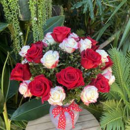 Red and white roses arranged in a vase with a red polka-dot ribbon