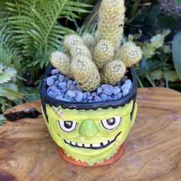 Potted cactus in a green Frankenstein face planter