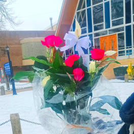 Peace Lily plant with Fresh Flowers