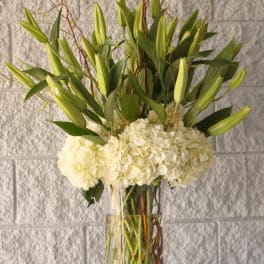 Graceful White Lilies