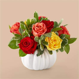 Mixed roses arranged in a white pumpkin-shaped vase