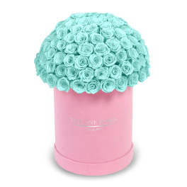 A dome of aqua roses in a pink round box