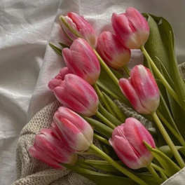 Bouquet of pink tulips wrapped in textured paper