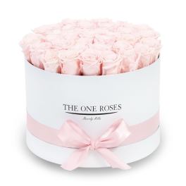Round box of pale pink roses tied with a pink ribbon