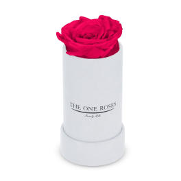 Single bright pink rose in a white cylindrical box
