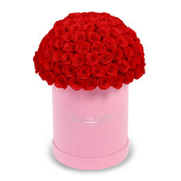 Red roses arranged in a pink round box