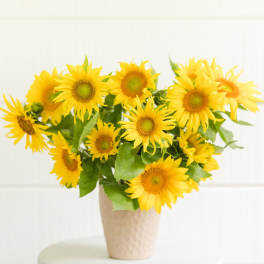 Bouquet of yellow sunflowers in a beige vase