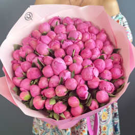 Large bouquet of bright pink peony buds wrapped in pale pink paper