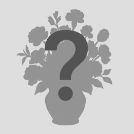 Placeholder graphic with a vase silhouette and flower shapes