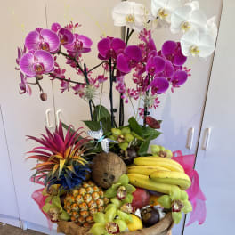 paradise fruit basket
