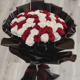 Bouquet of red and white roses wrapped in black paper