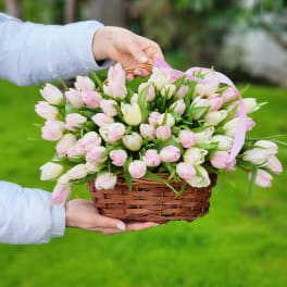 Basket of pink and white tulips with a pink ribbon