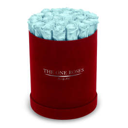 Light blue roses in a red round box