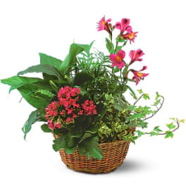 Pink flowers in a wicker basket with lush green plants