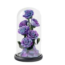 Purple and blue roses under a glass dome on a black base