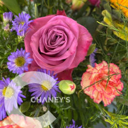 Mixed bouquet with a pink rose, purple daisies, and yellow flowers