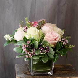Pink and white roses in a square glass vase with greenery