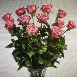 Pink roses arranged in a clear glass vase