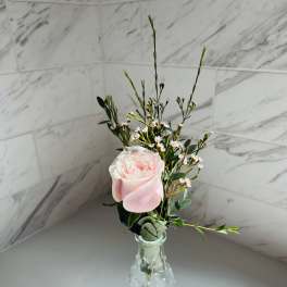 Single pale pink rose in a clear glass vase with airy filler flowers