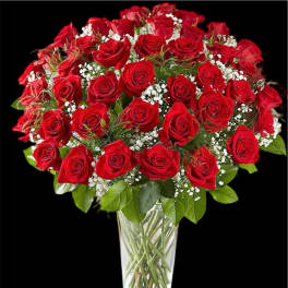 Bouquet of red roses in a clear glass vase