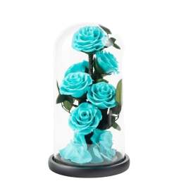 Five turquoise roses under a glass dome on a black base