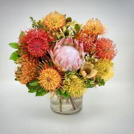 Tropical Sunset Protea