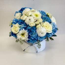 Low round arrangement of white roses and mums with blue hydrangeas in a white hatbox container