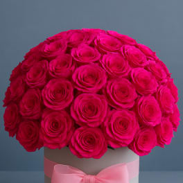 Round box arrangement of bright pink roses with a pink ribbon