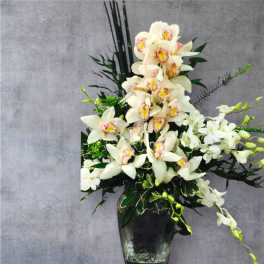 White orchid arrangement in a dark glass vase