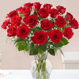 24 red roses in a vase