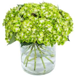 Emerald Hydrangea Bouquet