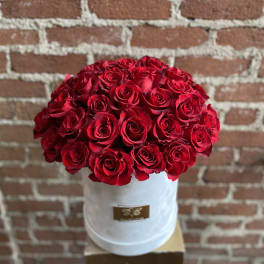 50 Red Roses Box - Studio City Florist