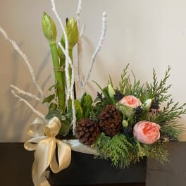 Floral arrangement with pink roses, amaryllis buds, and pinecones in a black box