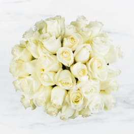 Two Dozen White Roses by BloomNation™