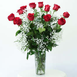 Red roses and baby's breath in a tall glass vase