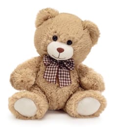 Plush teddy bear with a plaid bow on a white background